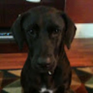 Meet your Posher, Brian